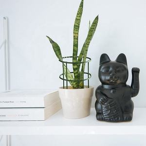 PE Tráng Vườn Cọc Nhựa Nhà Máy Cổ Cọc Kim Loại Vườn Hỗ Trợ Nhà Máy Thanh Kim Loại Nhựa Tráng Ống Thép - Product Image 5