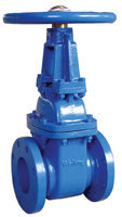 Corps de vanne en fonte grise moulé en résine durable pour le traitement de l'eau, marque Ruihengjun, service OEM