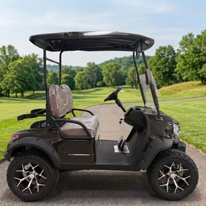Voiturette de golf électrique tout-terrain surélevée à deux places - Product Image 4