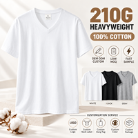 T-shirt col V personnalisé 210G 100% coton pour homme, tee-shirt vierge épais, fabricant OEM ODM à marque privée, faible MOQ