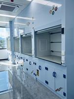 Hotte de laboratoire en PP résistante aux produits chimiques avec éclairage LED, armoire de ventilation en polypropylène avec vitesse de ventilation réglable