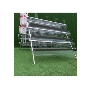 Auto chicken dropping cleaning zambia layer poultry farm chicken cage