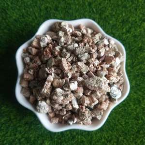 Venta Directa de Fábrica: Plántulas para Cultivo, Esquejes Hortícolas de Nivel de Exportación, <span class=keywords><strong>Vermiculita</strong></span> y <span class=keywords><strong>Vermiculita</strong></span> Expandida - Product Image 5