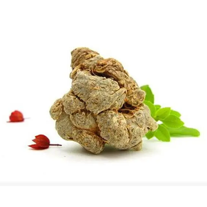 高品質オタムシ人参総サポニン80%純度オタムシ人参エキスオタムシ人参サポニン粉末 - Product Image 2