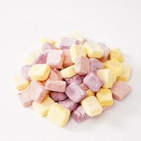 Klein Formaat Gevriesdroogde Soild Yoghurtblokjes Gemengd Fruit Smaakkubus