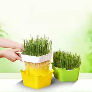Fabrika doğrudan bahçe sebze topraksız sistem tohum marş tepsisi plastik Microgreens büyüyen tepsiler kapaklı