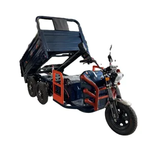 The 2024 new agricultural dump electric five wheel vehicle is customized for farmers to use, adopting a five wheel design