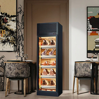 Simple-Porte-18 Degrés Boeuf Steak Ager Cabinet Hôtel Fine Dining Restaurant Vieillissement Congélateur Réfrigérateur Simple Température Viande