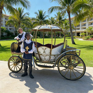 Chariot de mariage électrique Cendrillon avec de magnifiques lumières, fabricants de calèches royales - Product Image 4