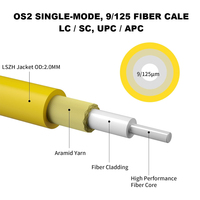 OEM ODM LC SC Fiber Optic Patch Cord Singlemode Simplex Duplex 2m for Data Center Network
