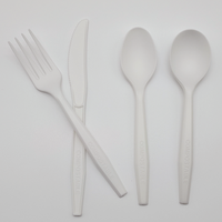 Ensemble de couverts jetables compostables certifiés EN13432 Green Day Europe Market en CPLA avec couteau, fourchette et cuillère pour les fêtes
