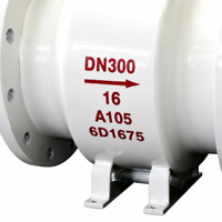 Válvula de Retención Manual de Flujo Axial para Gas, Conexión con Brida, OEM Disponible