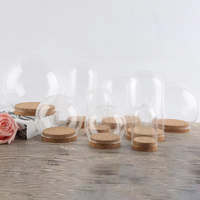 Cloche en verre borosilicate de haute qualité avec base en verre et accents en bambou, idéale pour la décoration intérieure (vente en gros)