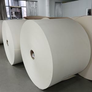 Rouleau de papier alimentaire enduit de PE pour la fabrication de gobelets/contenants alimentaires - Product Image 6