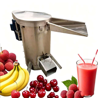 1000kg/uur Grote Capaciteit Mango Pulp Machine Fruitpulpmachine Mango Pulper
