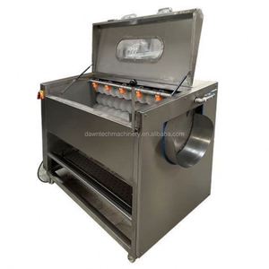 Machine automatique de nettoyage, épluchage et lavage en acier inoxydable pour gingembre, carotte, fruits, légumes, patate douce, taro et betterave - Product Image 6