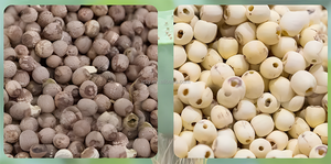 Precio al por mayor Máquina de eliminación de Pieles Rojas de nueces de loto automática comercial/Equipo de pulido/pulidor de loto eléctrico pequeño - Product Image 6