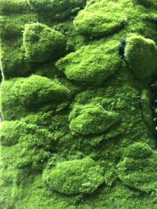 منازل وحدائق-لوحات جدارية, لوحات جدارية خضراء للاستخدام الداخلي مختلفة الاستخدامات بسعر الجملة ، أعشاب الطحالب ، ديكور للمنزل ، حائط من مادة الجريوفيتي - Product Image 2