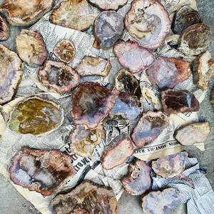Großhandel Natürliche Poliert Holz Fossilen Platte Grobe Versteinertes Holz Stein Scheibe Probe für Dekoration