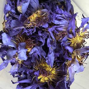 Thé aux fleurs de lotus bleues HO4009 Lan Lian Hua, fleurs entièrement épanouies - Product Image 4