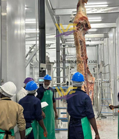 Equipo de matadero de búfalo Equipo de matadero de ganado para matadero con máquina de carnicería