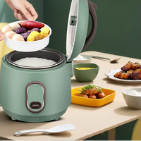 Autocuiseur Électrique Portable de Haute Qualité 5L pour la Maison, avec Fonction Maintien au Chaud et Ébullition à Sec, Idéal pour Dortoir et Usage Domestique