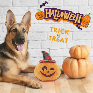 Halloween Squeaky peluche <span class=keywords><strong>perro</strong></span> juguete lindo calabaza fantasma murciélago cachorro peluche juguete - Product Image 3