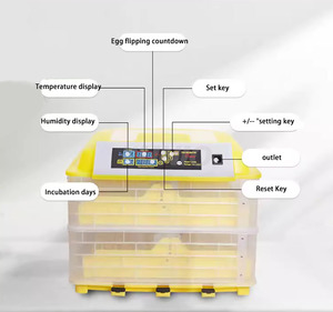 Incubadora de 96 huevos con integración de guardería automática con marcado CE de alta calidad <span class=keywords><strong>Howard</strong></span> más nueva - Product Image 3