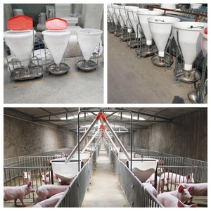 Mangeoire automatique pour porcs secs et humides pour porcelets et porcs d'engraissement Prix d'usine Caisse de pépinière Équipement d'élevage - Product Image 4