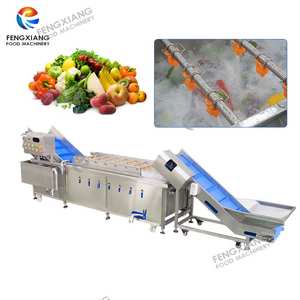 Industriële Spray Luchtbel Groenten En Fruit Wasmachine Met Transportband - Product Image 1