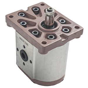 Moteur hydraulique diesel 220 V 0,75 kW, moteur à engrenages diesel pour rouleau compacteur, moteur d'orientation pour nacelle élévatrice - Product Image 2