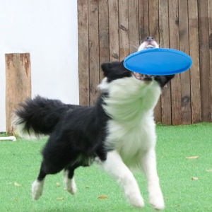 Frisbee pour chien en caoutchouc souple 100g, flottant, résistant aux morsures, jouet interactif pour animaux de compagnie, entraînement de récupération, jeu en plein air - Product Image 1