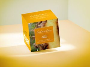 Emballage cosmétique en papier personnalisé de haute qualité avec logo, luxe, impression couleur intégrale, boîtes rigides pour bougies cosmétiques, boîtes cadeaux avec logo - Product Image 2