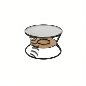 Tavolino da Caffè Moderno Rotondo con Piano in Vetro Satinato, Ripiano in Legno e Struttura in Ferro per Soggiorno - Product Image 1