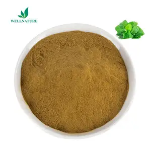 Peppermint Leaf Extract Crystals Powder Herbal Peppermint Extract Powder