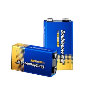 Doublepow 9V 6lr61 Alkaline Batterij 500Mah Metalen Behuizing Met Hangende Kaartverpakking Speelgoed Elektrisch Gereedschap Boten Consumentenelektronica