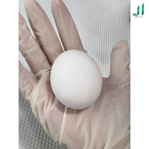 Trứng SPF cho nghiên cứu y sinh và thực phẩm cao cấp - Product Image 2