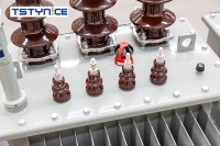 3 transformateurs de puissance immergés dans l'huile 11/15Kv 100/315Kva 630Kva 1000 1600Kva 440v 380v 220v sorties CE IEC GOST certifié IEC/GB