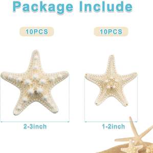 20 PCS Bintang Laut Alami Ukuran 1-3 inci untuk Dekorasi Pernikahan, Kerajinan Pantai, Hiasan Pohon Natal - Product Image 2
