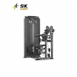 <span class=keywords><strong>Machine</strong></span> abdominale oblique SKFitness à charge par poulie, haute durabilité, couleurs personnalisables, équipement de gym commercial pour clubs de fitness - Product Image 1