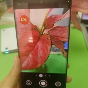 Mua Chất Lượng Cao Mở Khóa Ban Đầu Sử Dụng Bán Buôn Đ<span class=keywords><strong>i</strong></span>ện Thoạ<span class=keywords><strong>i</strong></span> Di Động 128GB Cho <span class=keywords><strong>Google</strong></span> <span class=keywords><strong>Pixel</strong></span> 6 Pro - Product Image 4