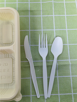 Cuillère à soupe moderne de 8 pouces CPLA Couverts jetables de qualité supérieure de Chine Prix d'usine Ensemble de couverts alimentaires