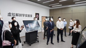 Anatomia umana sistema di anatomia virtuale 3D anatomia digitale dissezione 3D virtuale autopsia tavolo per la scuola - Product Image 6