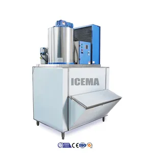 ICEMA Hot Sale 1T Flake Ice Making Machine Flake Ice Maker With Ice Storage For Fish Competitive Price