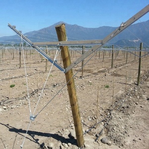 Langlebiges verzinktes Stahl-Metall-Trellis-System für Weinplantagen, Y-förmige offene Giebelpfosten, silberfarben, umweltfreundlich - Product Image 6