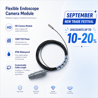 Module de caméra USB miniature OV9734 avec 1280*720 pixels, câble personnalisé IPX8 pour endoscope flexible et inspection industrielle