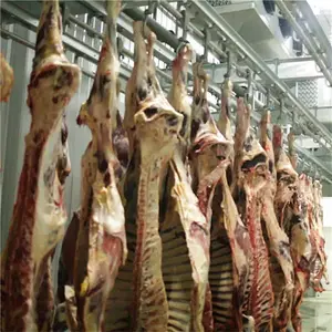 Automatic Cow Slaughterhouse Machine For Beef Butcher Abattoir Meat Process Line