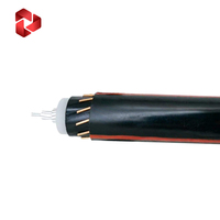 Unterirdisches MV90-Kabel 25KV TR XLPE EPR Isoliertes CWS-Abschirmungs-Stromkabel