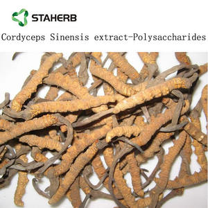 Prezzo di fabbrica <span class=keywords><strong>Cordyceps</strong></span> Sinensis estratto 30% polisaccaridi in polvere - Product Image 2