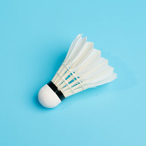 Schönes String Craft mit Federball - Product Image 1